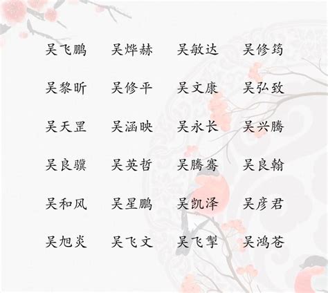 姓吳 取名|姓吴男孩名字大全